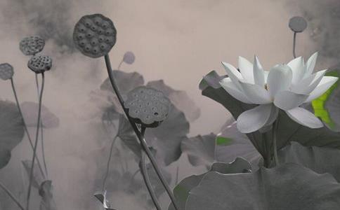 知恩感恩与报恩