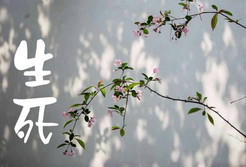 阿弥陀佛今天就来接引，我们会作何反应