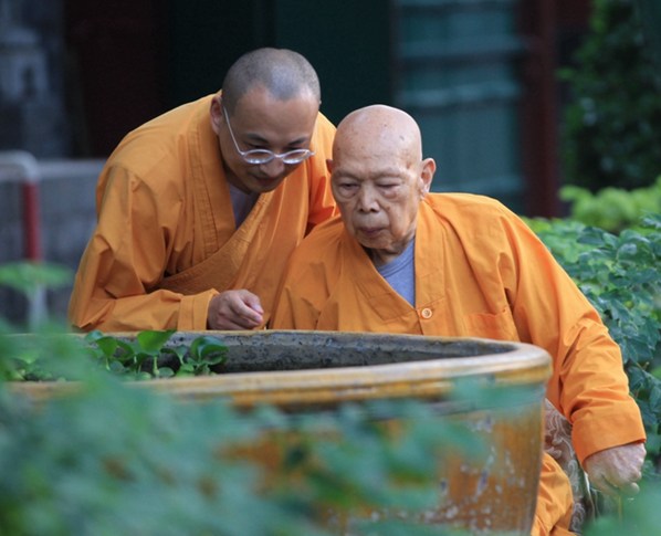 出去走一走，才知道自己有没有定力