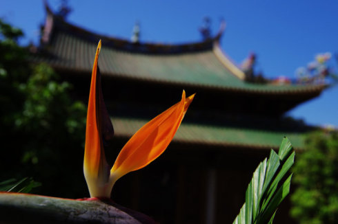 不是境缘困住了你，而是心被迷了