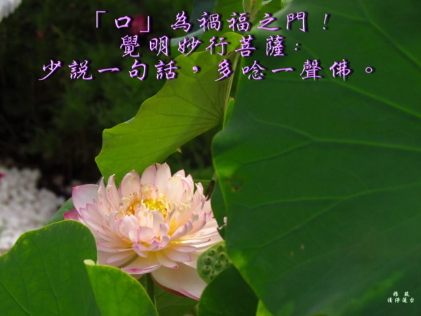 口业清净了，首先利益的是自己